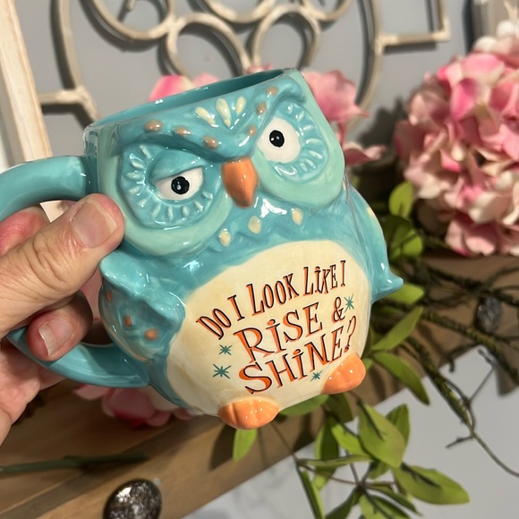Cracker Barrel Stoneware Coffee Cup Owl Rise Shine Mug - Picture 7 of 10